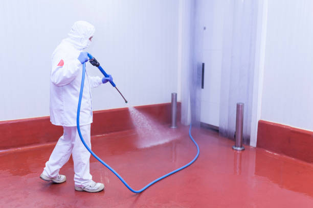 Best Solar Panel Cleaning  in Irvington, NY